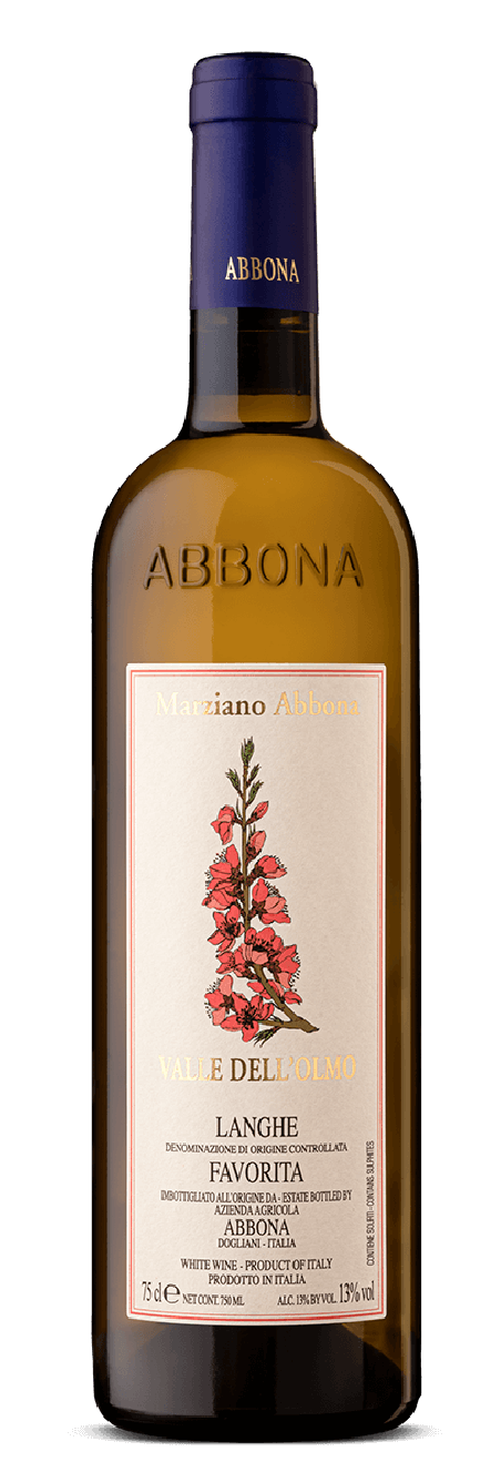 Abbona Marziano 2024 Langhe DOC Bianco Favorita Valle dell Olmo
