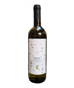 Il Foresto 2023 Vino da Tavola Bianco Recausi