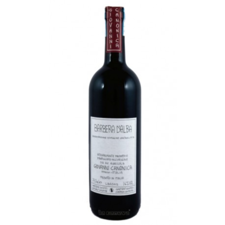 Canonica Giovanni 2017 Barbera d Alba DOC