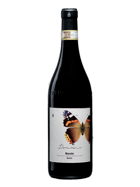 Camparo 2019 Barolo DOCG