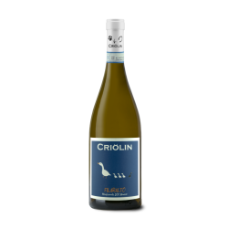 Criolin 2024 Monferrato DOC Bianco Filaralto