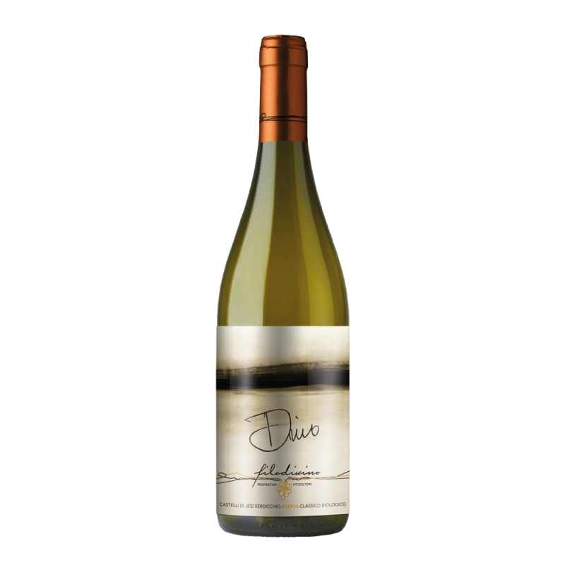 Filodivino 2019 Verdicchio Castelli Jesi DOCG Riser Dino