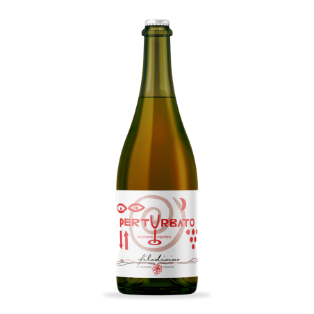 Filodivino 2023 Marche Frizzante IGT Bianco Perturbato