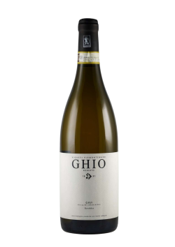 Ghio Roberto 2023 Gavi di Gavi DOCG Barabba