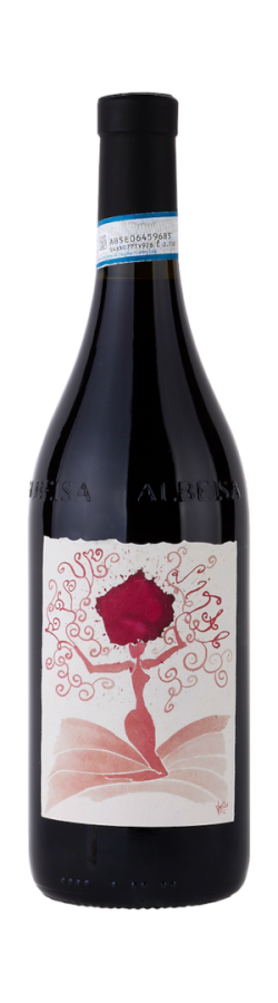 Vico Luigi 2020 Langhe DOC Barbera Robur Vitae