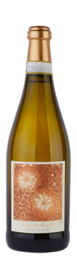 Vico Luigi 2023 Moscato d Asti DOCG Echinopsis Mirabilis