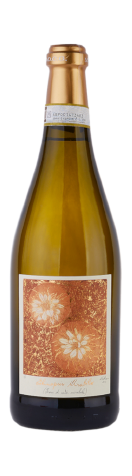 Vico Luigi 2023 Moscato d Asti DOCG Echinopsis Mirabilis