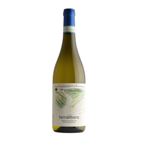 Terralibera 2024 Verdicchio Jesi Superiore DOC