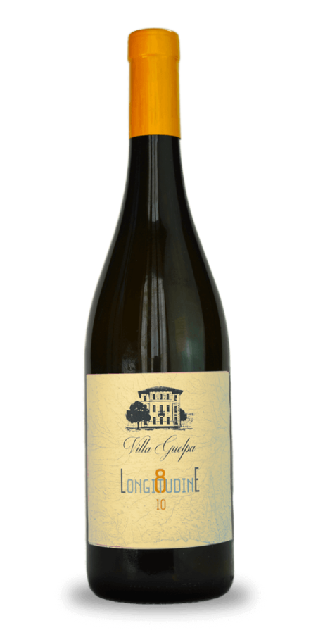 Villa Guelpa 2023 Colline Novaresi DOC Bianco Longitudine 8.10