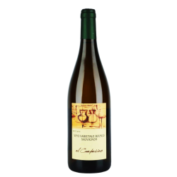 Scovero Andrea 2020 Monferrato DOC Sauvignon Campesino
