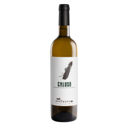 Sorpasso 2020 Erbaluce Caluso DOCG