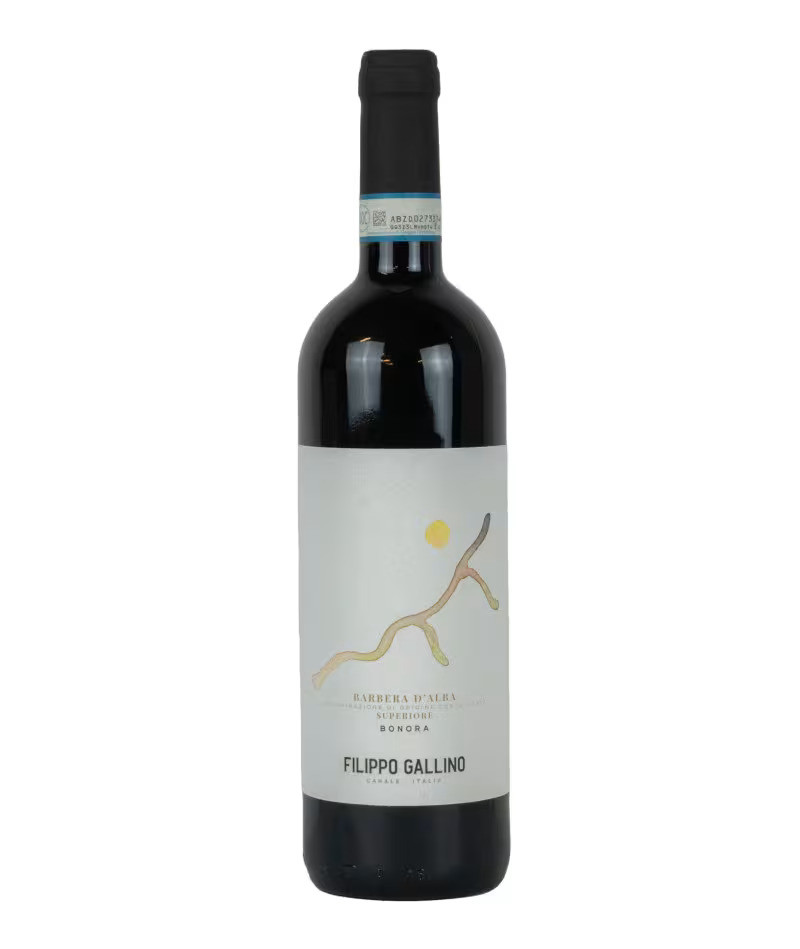 Gallino Filippo 2017 Barbera d Alba DOC Superiore Bonora
