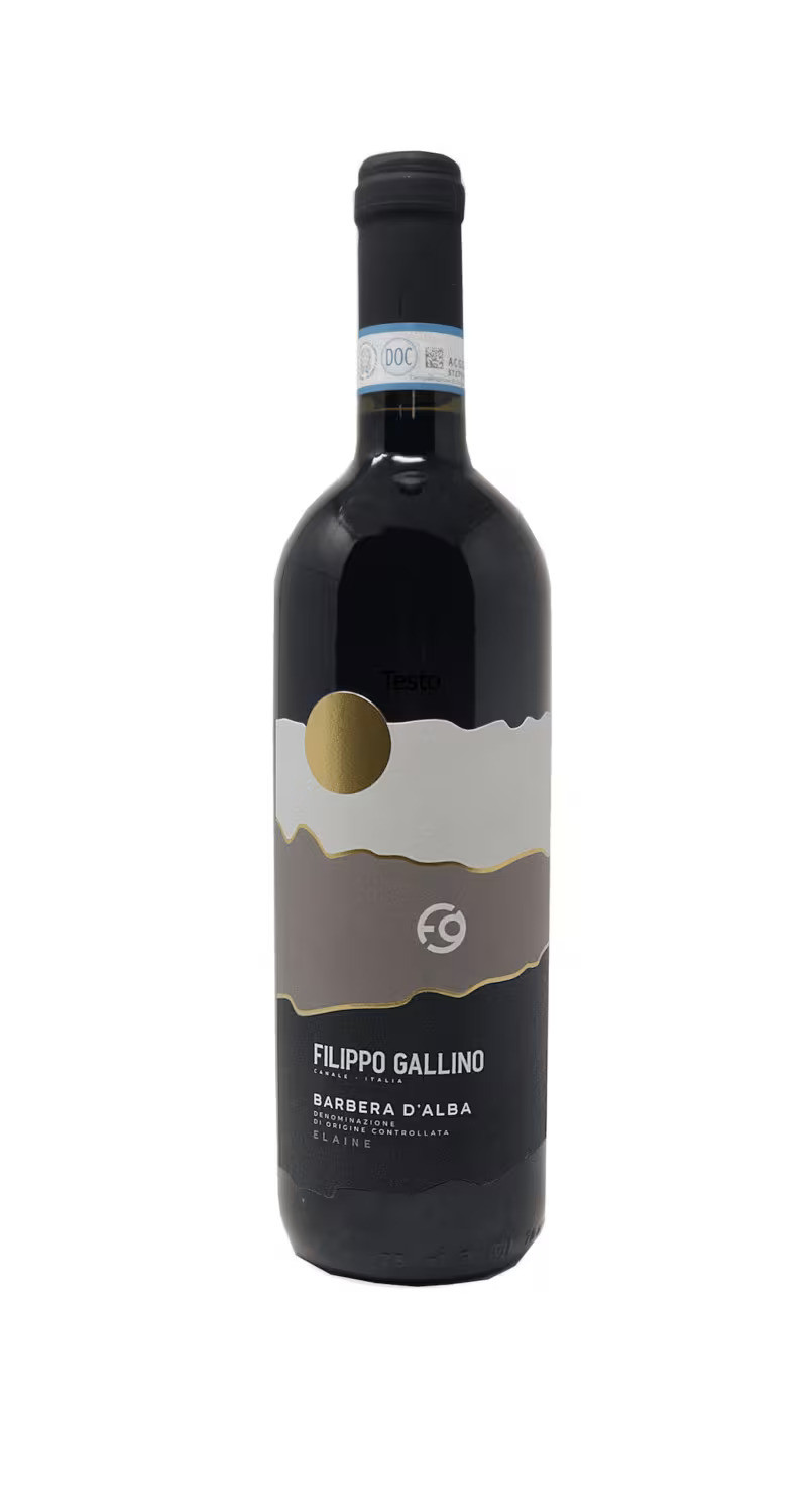 Gallino Filippo 2021 Barbera d Alba DOC Superiore Elaine