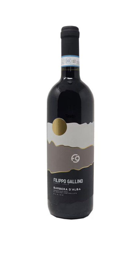 Gallino Filippo 2021 Barbera d Alba DOC Superiore Elaine