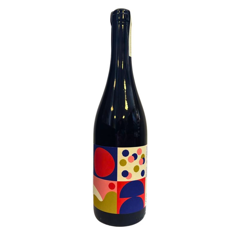 Tommaso Cappa 2023 Vino da Tavola Rosso Barbera Toppaso Camma