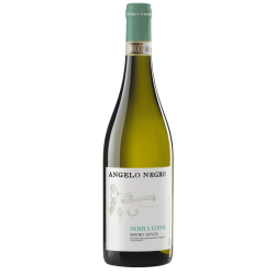 Negro Angelo 2024 Roero Arneis DOCG Serra Lupini