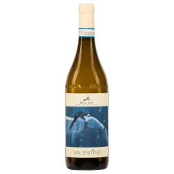 Ca del Baio 2023 Langhe DOC Chardonnay Valentine