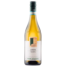 Alessandria Fratelli 2024 Langhe DOC Favorita