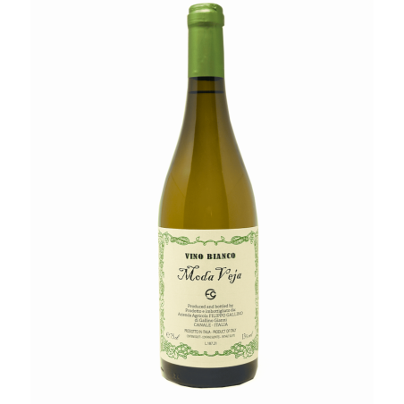 Gallino Filippo 2024 Roero Arneis DOCG Moda Veja
