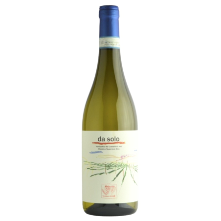 Terralibera 2024 Verdicchio Jesi Superiore DOC Da Solo