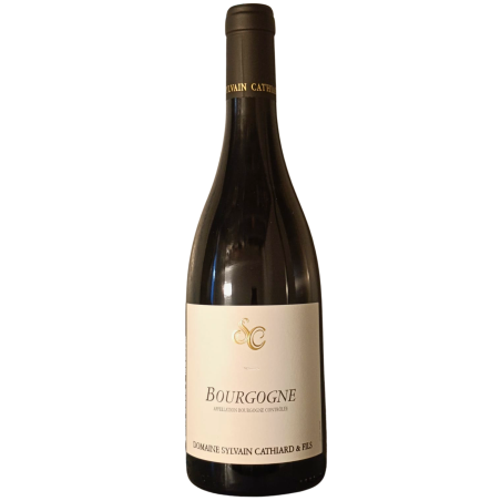 Domaine Cathiard Sylvain 2020 Bourgogne AOC Rouge