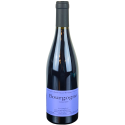 Pataille Sylvaine 2019 Bourgogne AOC Rouge