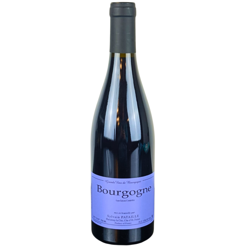 Pataille Sylvaine 2019 Bourgogne AOC Rouge