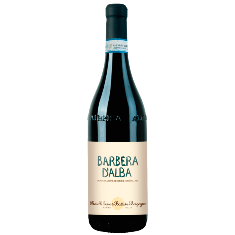 Borgogno Serio e Battista 2023 Barbera d Alba DOC