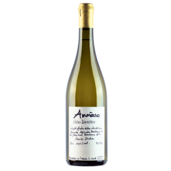 Cantine Barbera Vino da Tavola Bianco Ammano 10