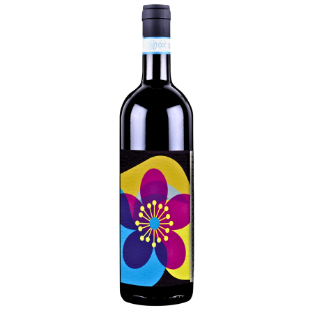Cascina Munesteu 2019 Barbera d Alba DOC