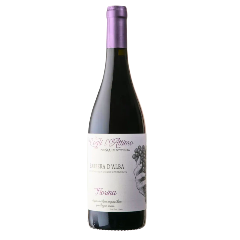 Cogli l Attimo 2023 Barbera d Alba Superiore DOC