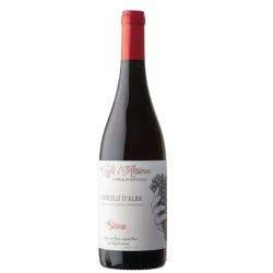 Cogli l Attimo 2023 Nebbiolo d Alba DOC