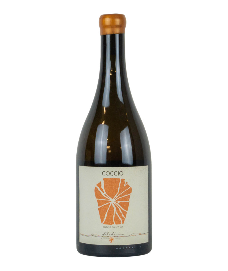 Filodivino 2018 Marche IGT Bianco Coccio