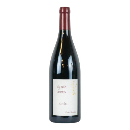 Domaine Naudin Ferrand 2019 Hautes Cotes de Beaune Rouge Myosotis Arvensis