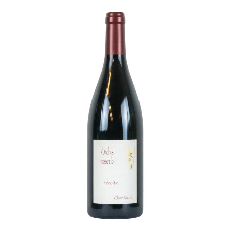 Domaine Naudin Ferrand 2019 Hautes Cotes de Beaune Rouge Orchis Mascula