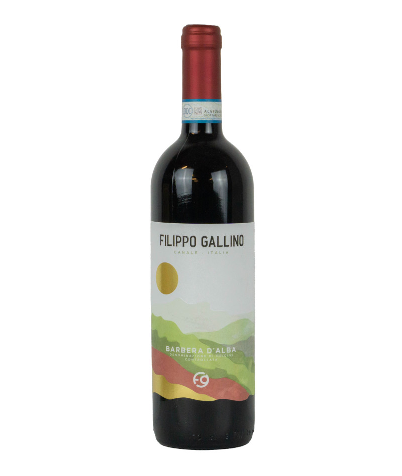 Gallino Filippo 2021 Barbera d Alba DOC