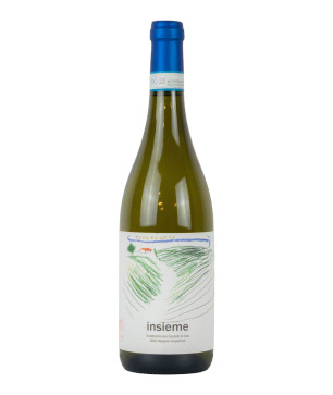 Terralibera 2023 Verdicchio Castelli Jesi DOC Superi Insieme