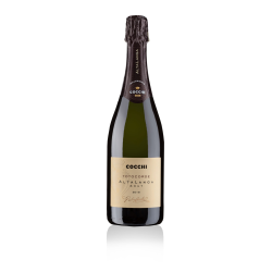 Cocchi 2018 Alta Langa DOCG Bianco Totocorde