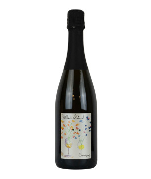 0,75 Domaine Chardigny NV Petillant