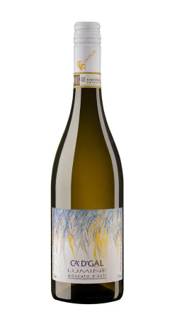 Ca d Gal 2022 Moscato d Asti DOCG