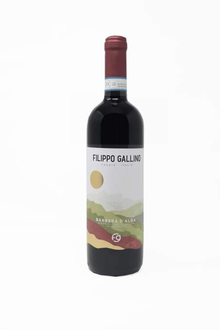 Gallino Filippo 2023 Barbera d Alba DOC